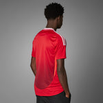 Load image into Gallery viewer, MANCHESTER UNITED 24/25 HOME JERSEY
