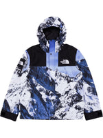 Load image into Gallery viewer, The North Face Puffer
