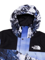 Load image into Gallery viewer, The North Face Puffer
